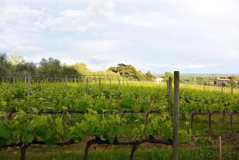 Rustic Tuscan Retreat A Cozy Escape Near Siena Val di Pugna Italy