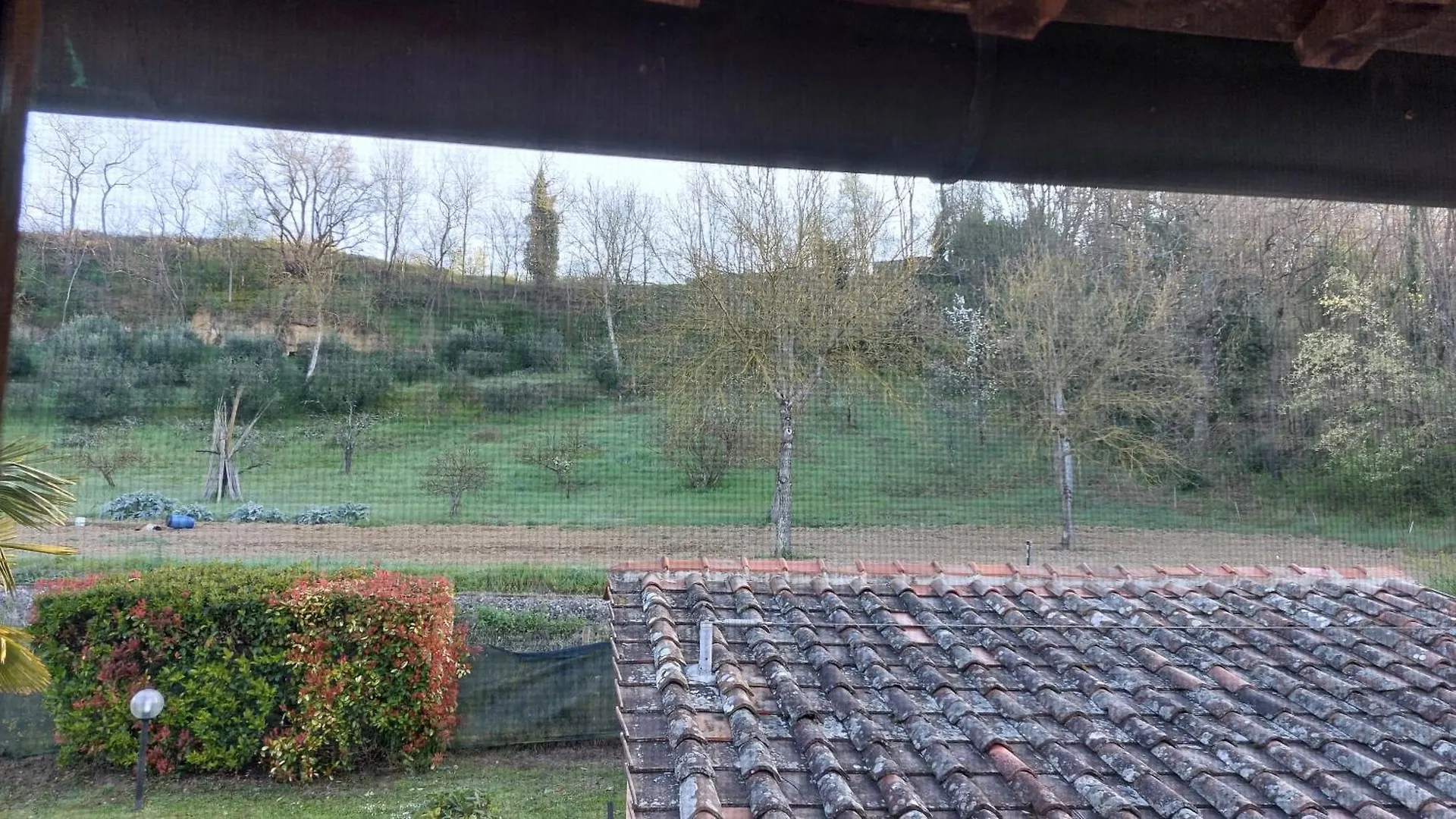 Apartment Rustic Tuscan Retreat A Cozy Escape Near Siena Val di Pugna